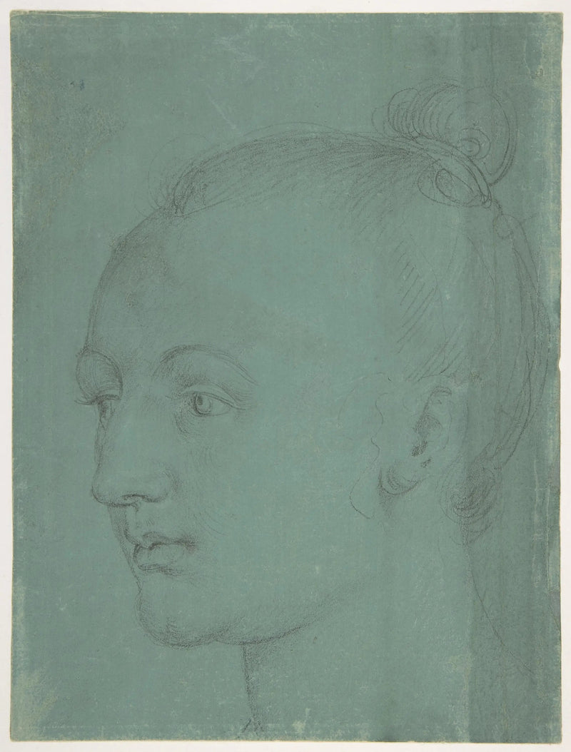 Ung kvinnehodet - Albrecht Dürer