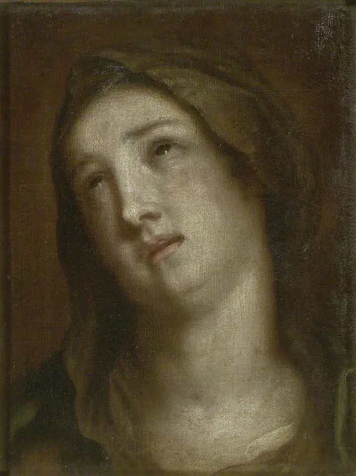 Jomfruens sorgfulle hode - Antoine van Dyck

Source:
Tête de la Vierge en deuil - Antoine van Dyck