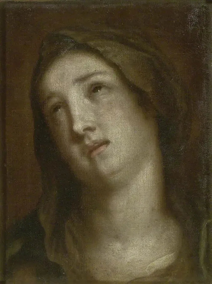 Jomfruens sorgfulle hode - Antoine van Dyck

Source:
Tête de la Vierge en deuil - Antoine van Dyck