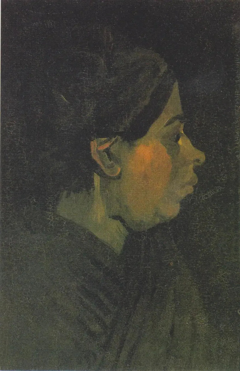 Bondekvinnehode - Vincent van Gogh