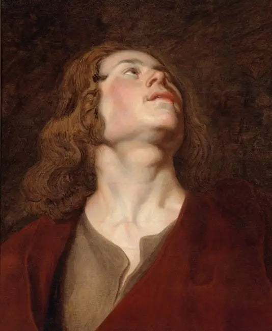 Hode av Saint Johannes - Peter Paul Rubens