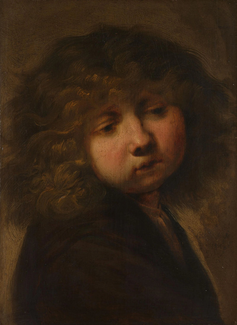 Hode av en gutt - Rembrandt
