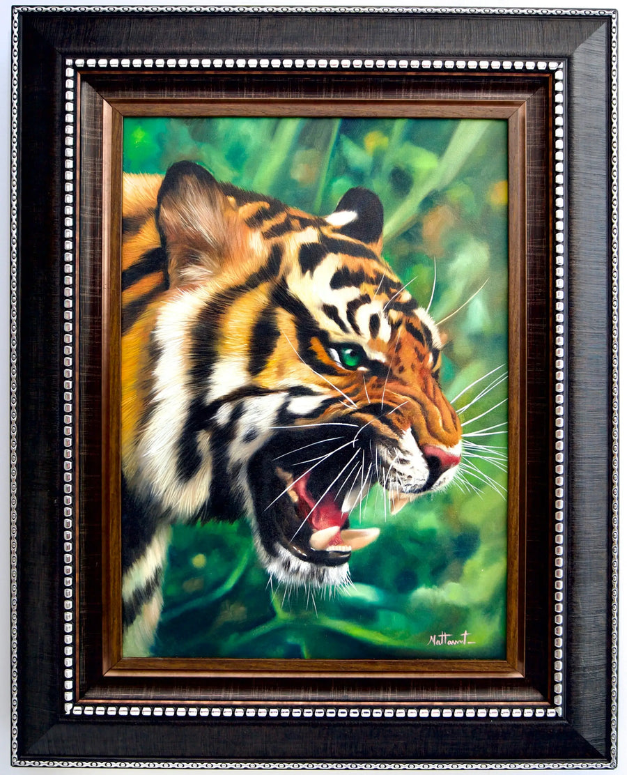 Tigeren med grønne øyne | 50 x 70 cm