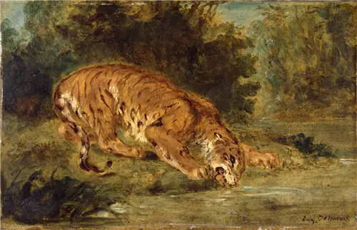 Tiger som drikker - Eugène Delacroix