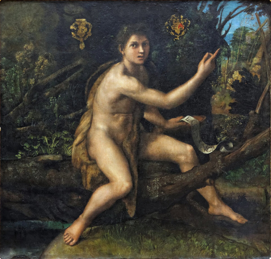 Sankt Johannes Døperen i ørkenen - Raphael Sanzio