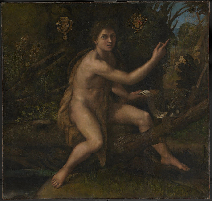 Sankt Johannes Døperen i ørkenen som peker på Korset for lidenskapen - Raphael Sanzio