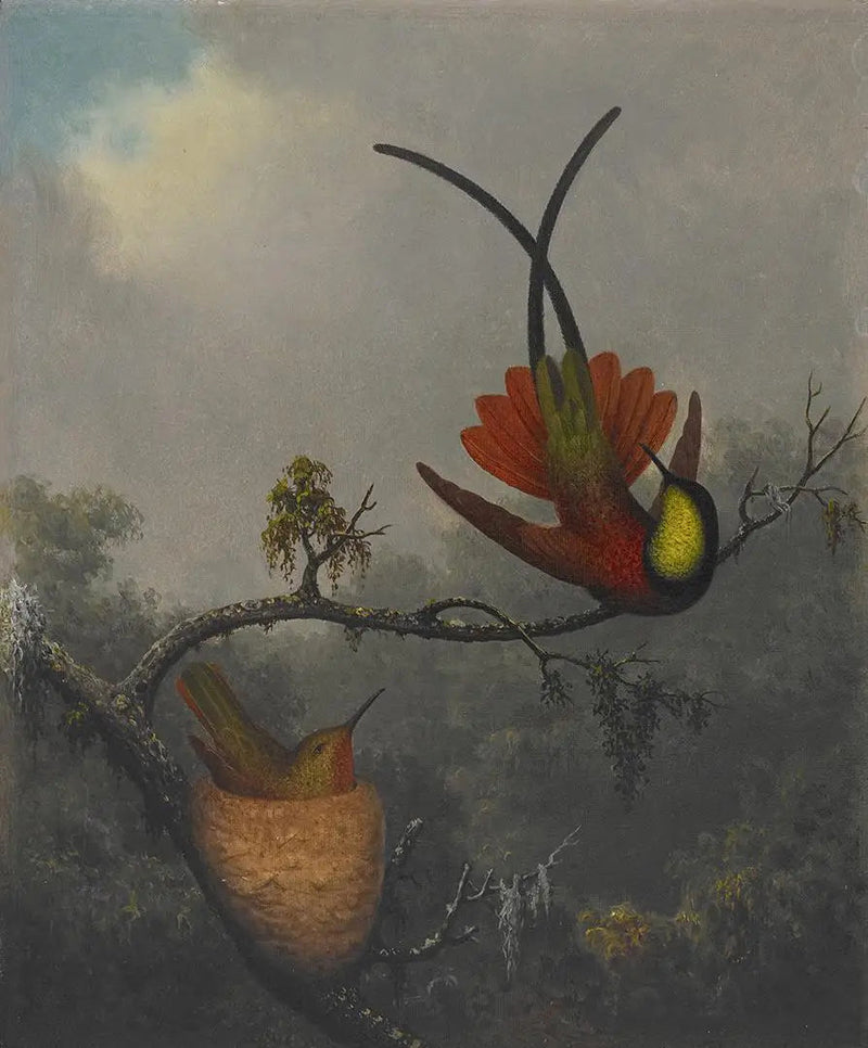Topas krystallrød - Martin Johnson Heade

Source:
Topaze cramoisie - Martin Johnson Heade
