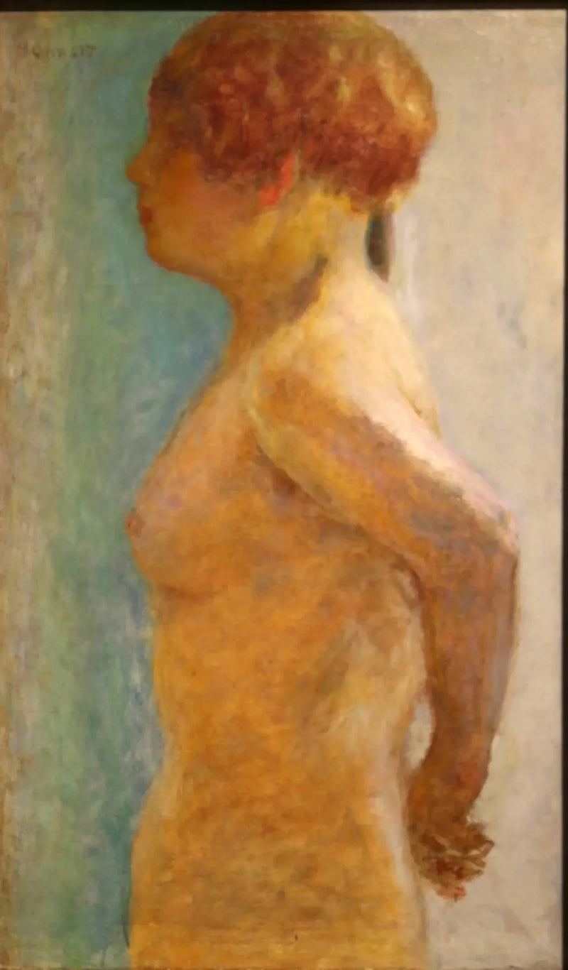 Kvinnekropp, i profil - Pierre Bonnard