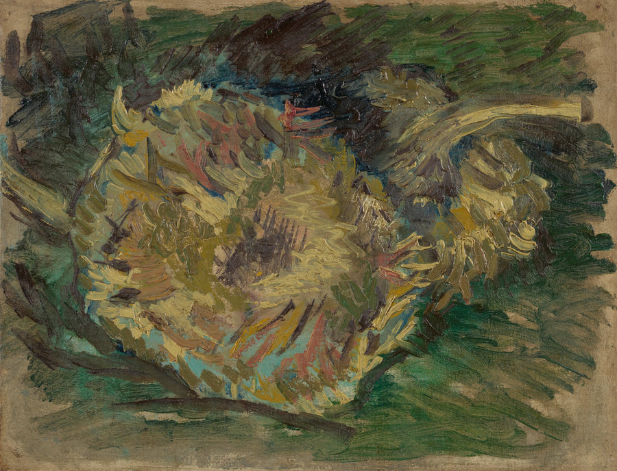 Solsikker montert som frø - Vincent van Gogh