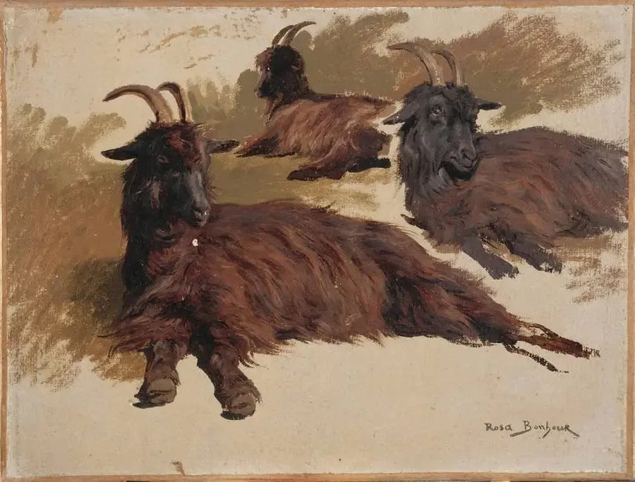Tre geiter i hvile - Rosa Bonheur