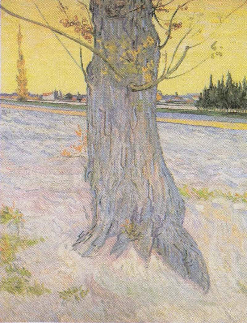 Stamme av en gammel einer - Vincent van Gogh