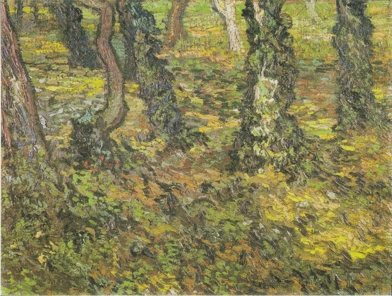 Stammer med eføy - Vincent van Gogh