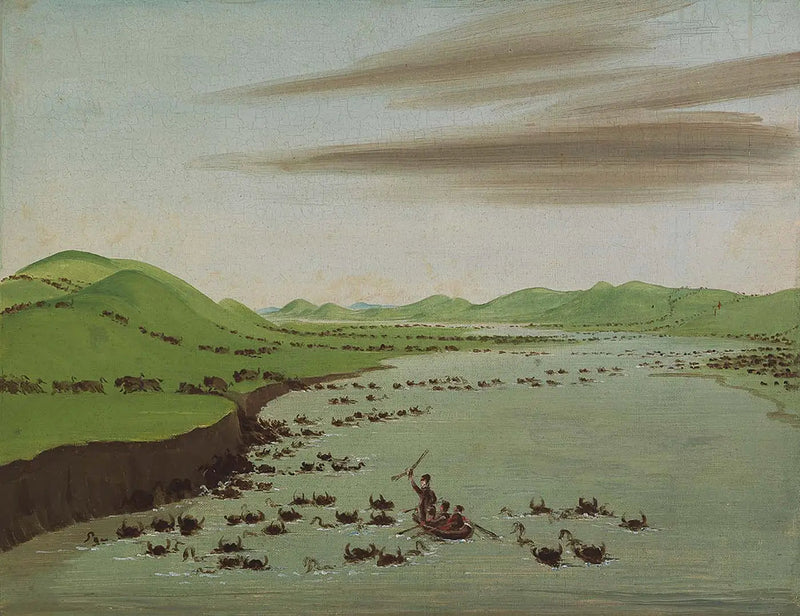 Bisonsflokker som krysser øvre Missouri - George Catlin

Source:
Troupeaux de bisons traversant le Haut-Missouri - George Catlin