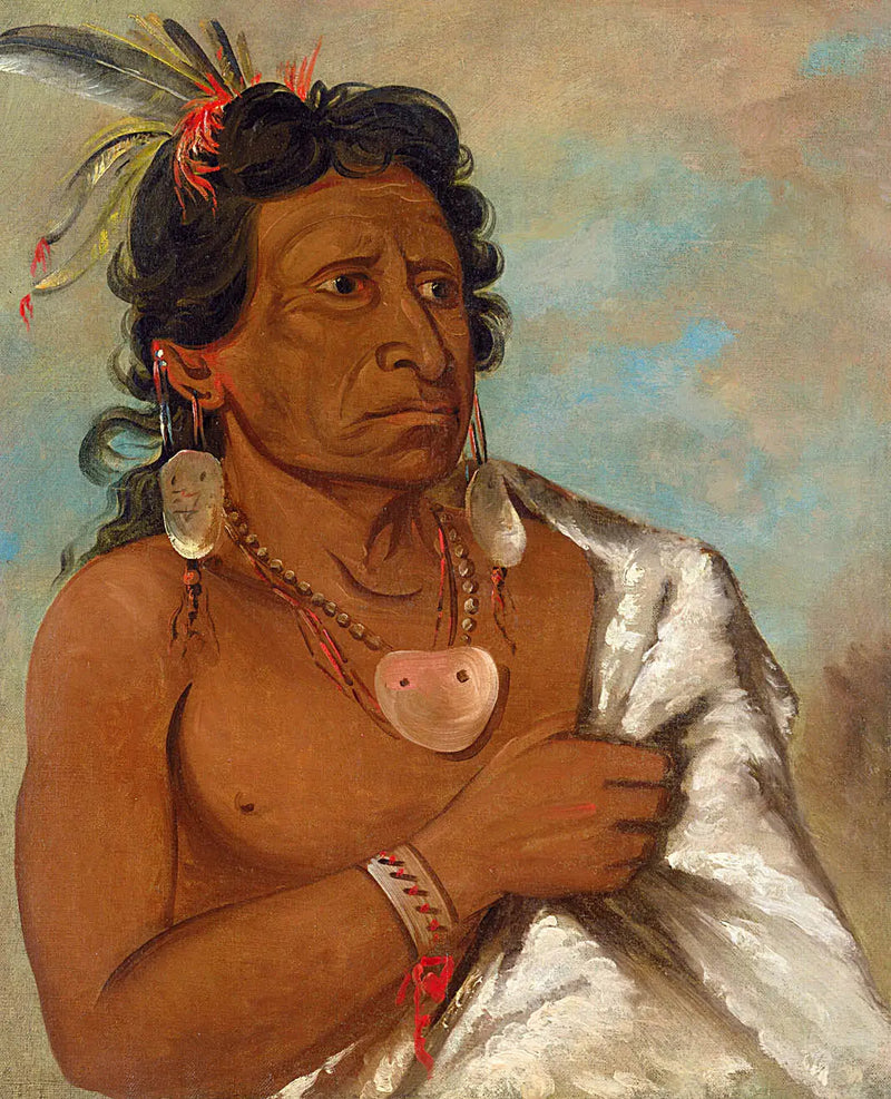 U'sh-ee-kitz, Den som kjemper med en fjær, stammeleder - George Catlin

Source:
U'sh-ee-kitz, Celui qui se bat avec une plume, chef de la tribu - George Catlin
