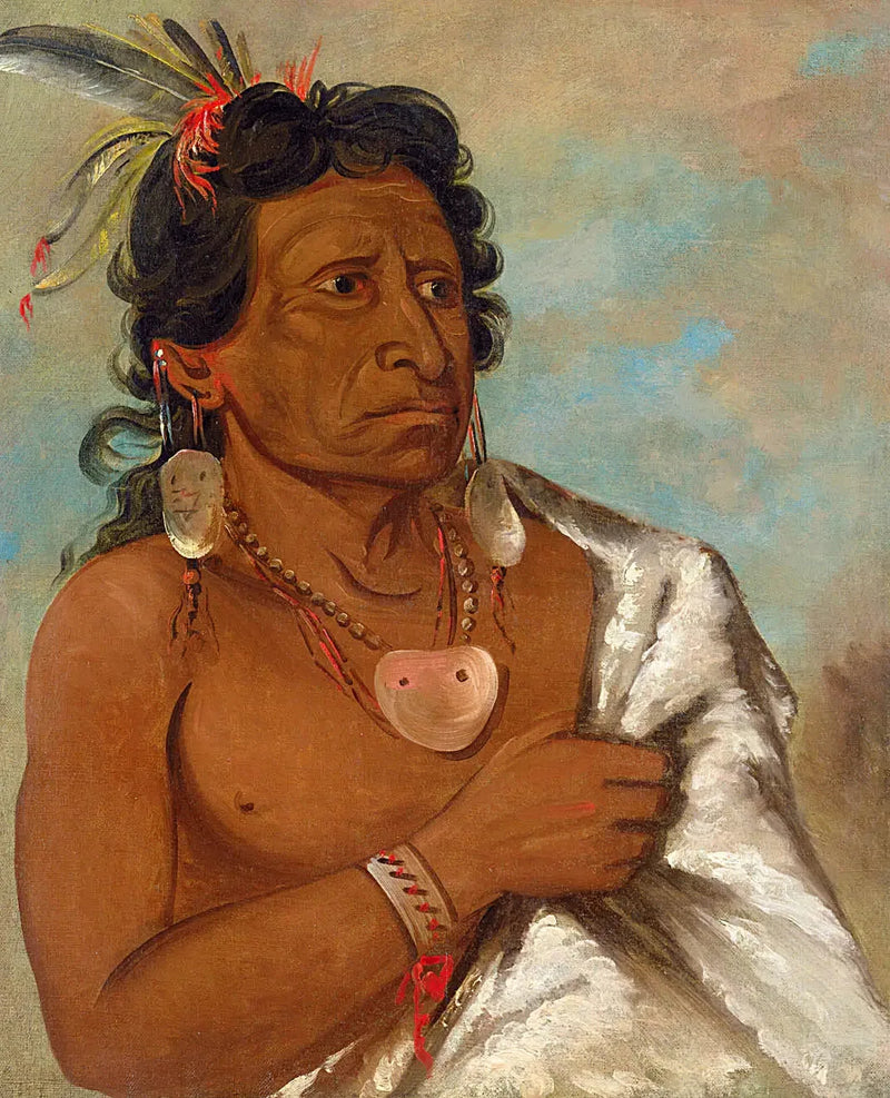 U'sh-ee-kitz, Den som kjemper med en fjær, stammeleder - George Catlin

Source:
U'sh-ee-kitz, Celui qui se bat avec une plume, chef de la tribu - George Catlin