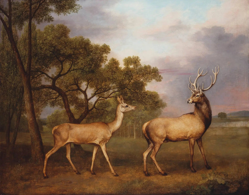 En hann elg og en hjortinne - George Stubbs

Source:
Un cerf élaphe mâle et une biche - George Stubbs