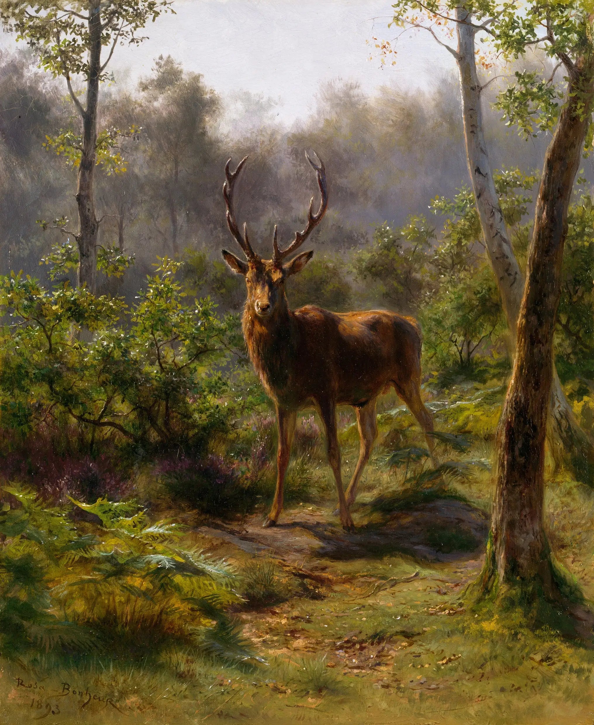 Un cerf - Rosa Bonheur - Alpha Reproduction