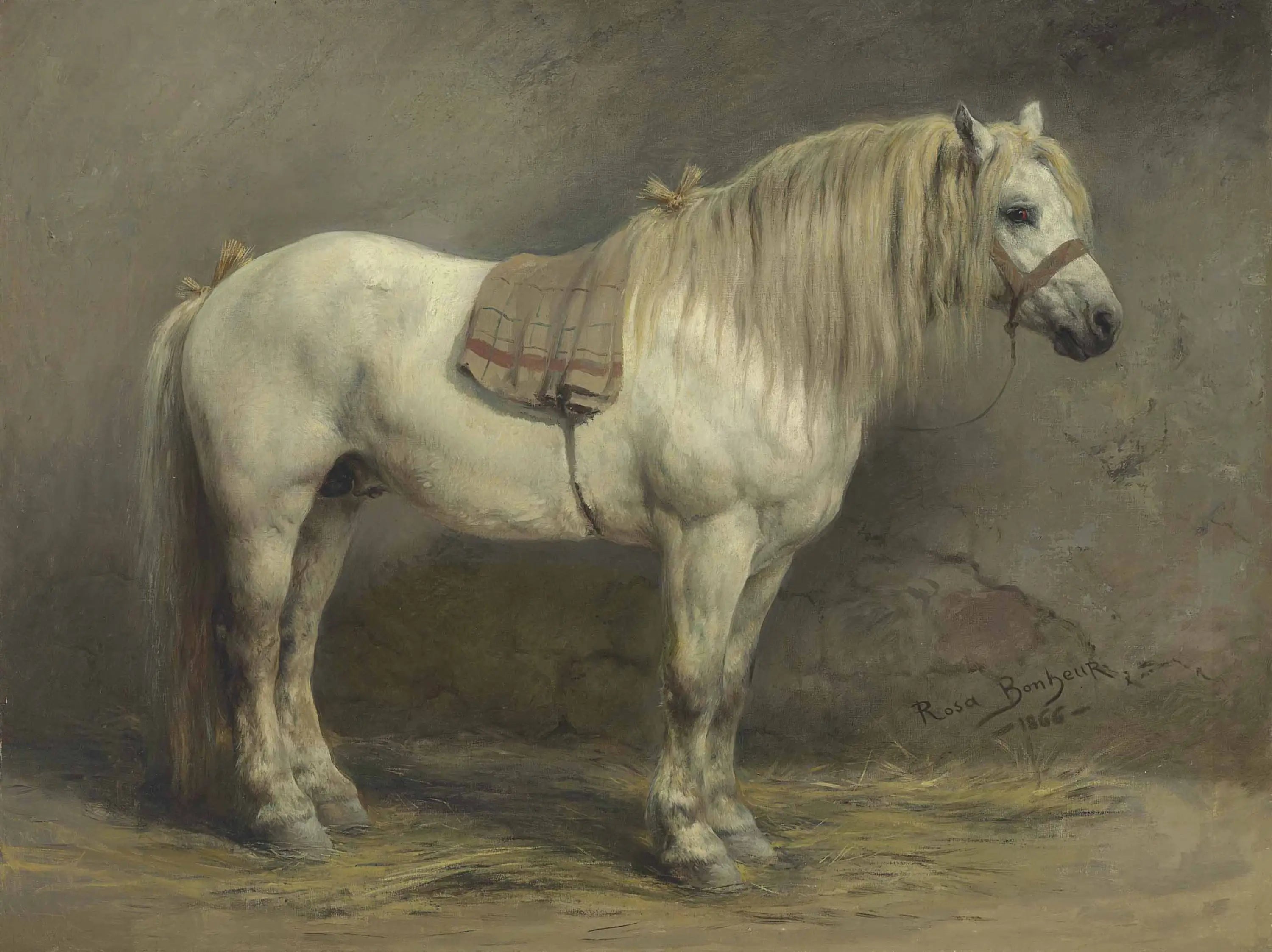 Un cheval blanc - Rosa Bonheur image 1 reproduction réalisée par Alpha Reproduction