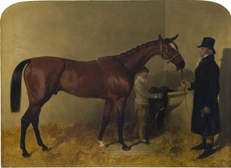 En brun travhest i en boks - John Frederick Herring, Sr.

Source:
Un cheval de course bai dans un box - John Frederick Herring, Sr.