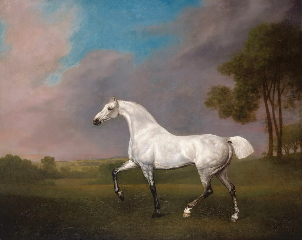 Un cheval gris - George Stubbs image 1 copie peinte à la main à l’huile