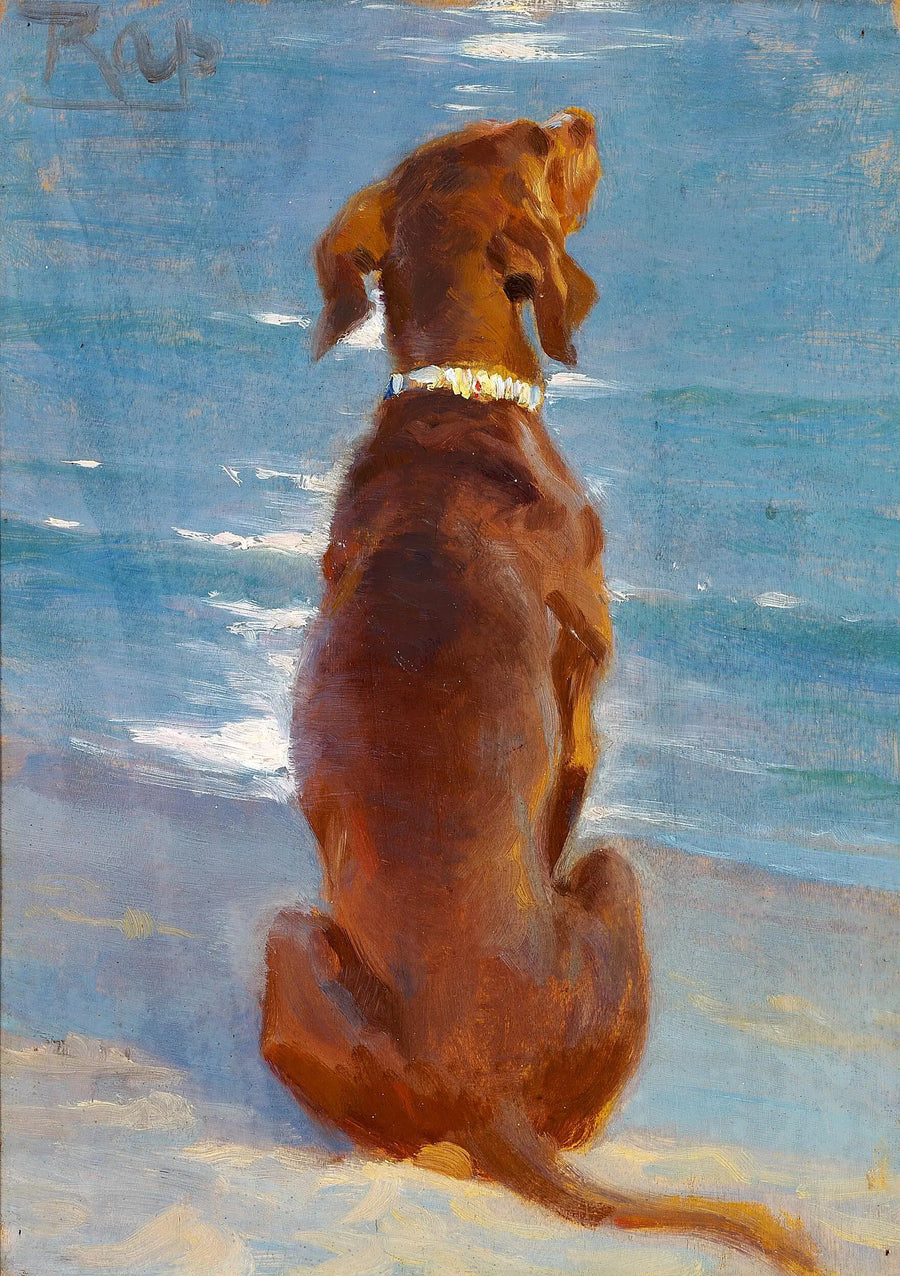 En brun hund sittende. Rap. - Peder Severin Krøyer