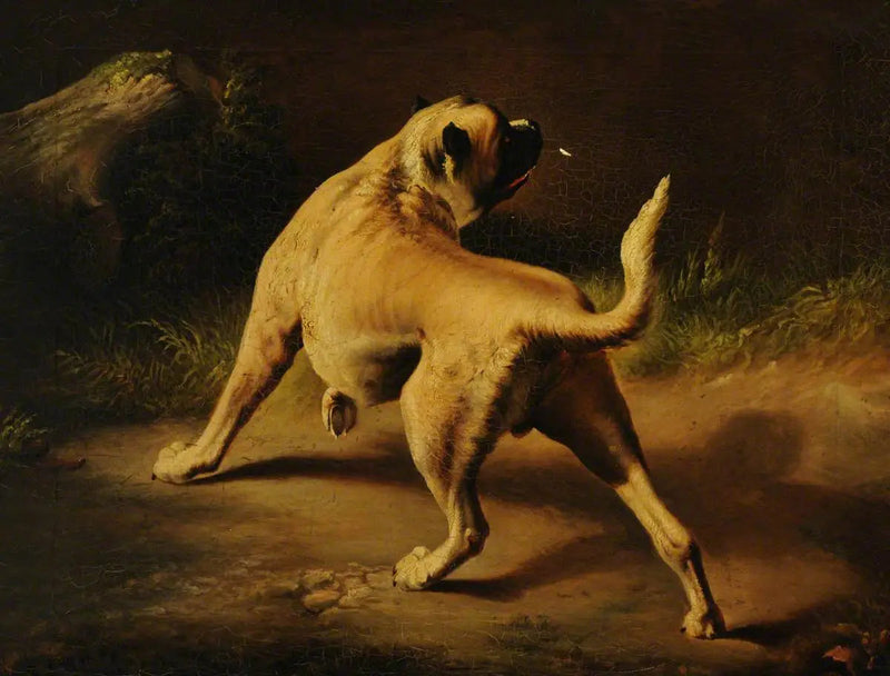 En hund på vakt - Edwin Henry Landseer

Source:
Un chien en alerte - Edwin Henry Landseer