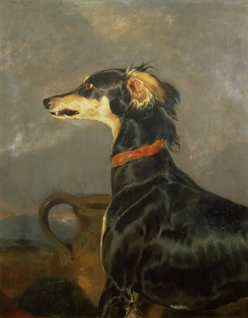 En Saluki-hund - Edwin Henry Landseer

Source:
Un chien Saluki - Edwin Henry Landseer