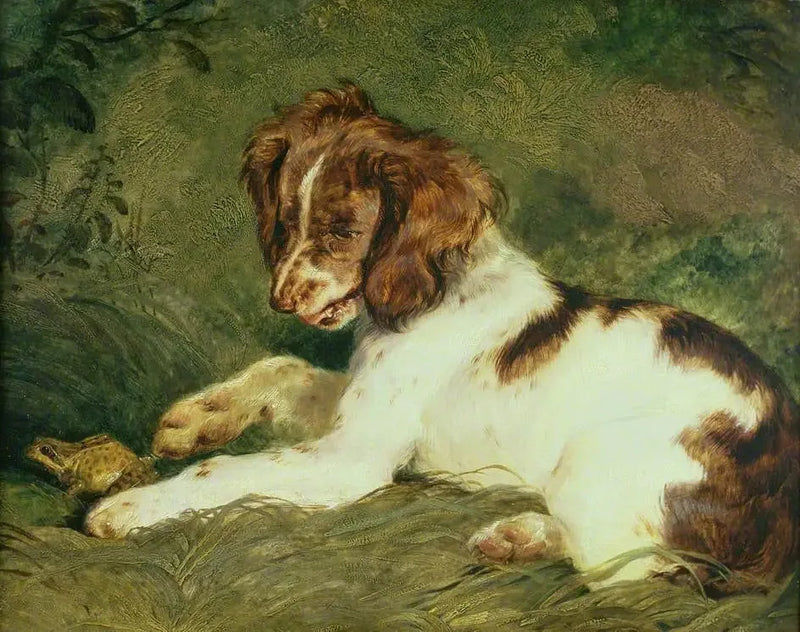 En valp ertet en frosk - Edwin Henry Landseer

Source:
Un chiot taquine une grenouille - Edwin Henry Landseer