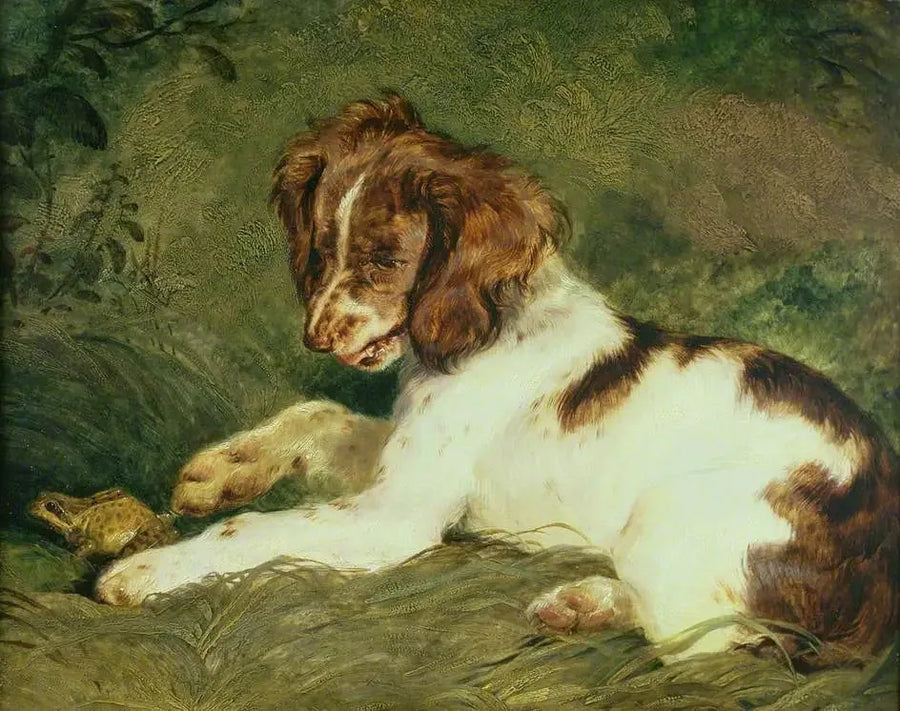 En valp ertet en frosk - Edwin Henry Landseer

Source:
Un chiot taquine une grenouille - Edwin Henry Landseer