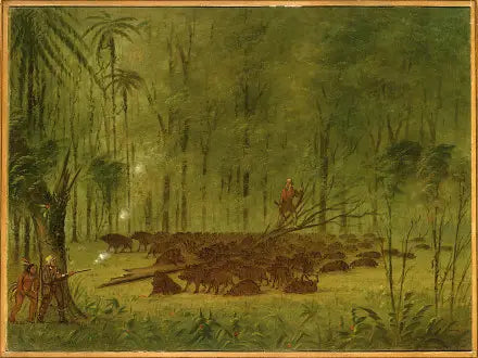 En kamp med peccaries - Karibia - George Catlin

Source:
Un combat avec des pécaris - Caraïbes - George Catlin