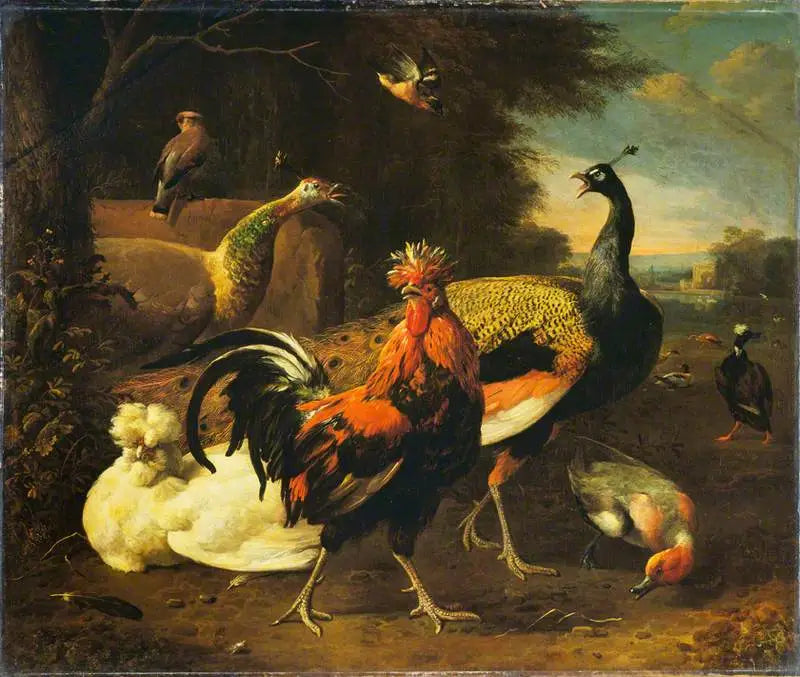 En hane med andre fugler - Melchior de Hondecoeter