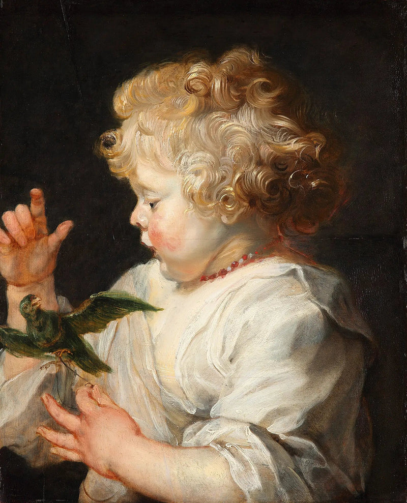 Et barn med en fugl - Peter Paul Rubens