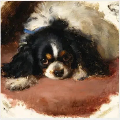 En King Charles spaniel - Edwin Henry Landseer

Source:
Un épagneul King Charles - Edwin Henry Landseer