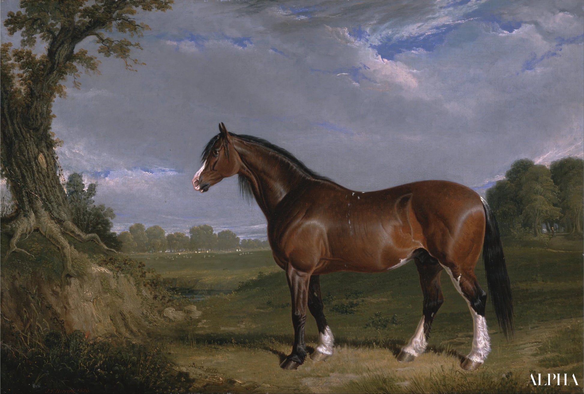 En Clydesdale-hingst - John Frederick Herring Snr - Høykvalitets reproduksjoner av malerier og bilder