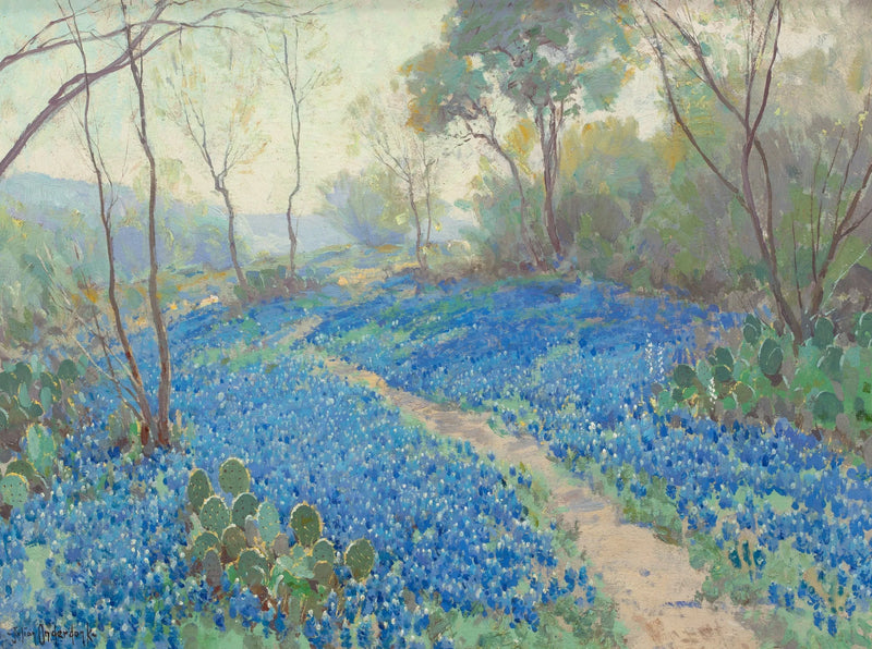 En side av en åsside dekket av blå lupiner, tidlig om morgenen, nær San Antonio, Texas. - Julian Onderdonk