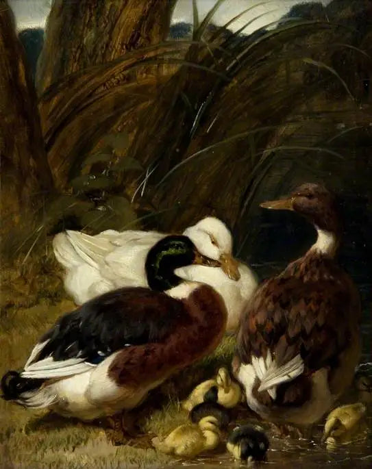 En gruppe ender - John Frederick Herring, Sr.

Source:
Un groupe de canards - John Frederick Herring, Sr.