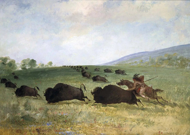 En indisk Osage kaster en bison - George Catlin

Source:
Un Indien Osage lance un buffle - George Catlin