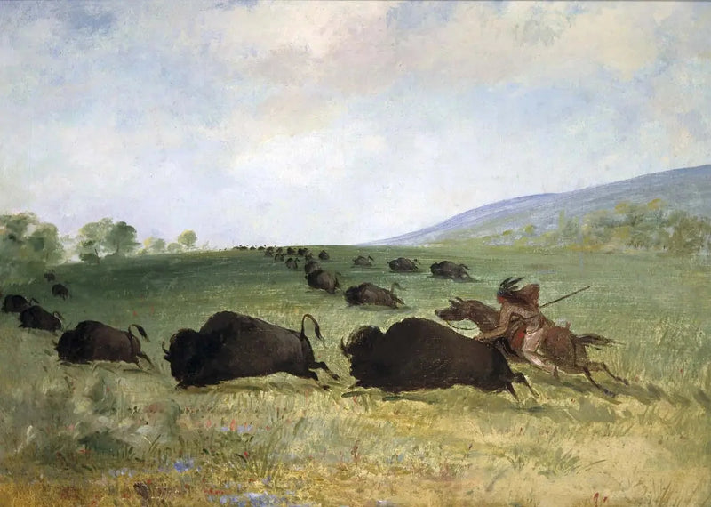 En indisk Osage kaster en bison - George Catlin

Source:
Un Indien Osage lance un buffle - George Catlin