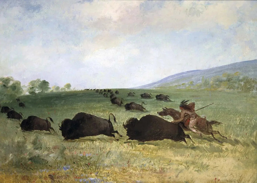 En indisk Osage kaster en bison - George Catlin

Source:
Un Indien Osage lance un buffle - George Catlin