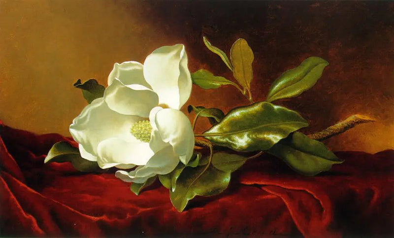 En magnolia på rødt fløyel - Martin Johnson Heade

Source:
Un magnolia sur du velours rouge - Martin Johnson Heade