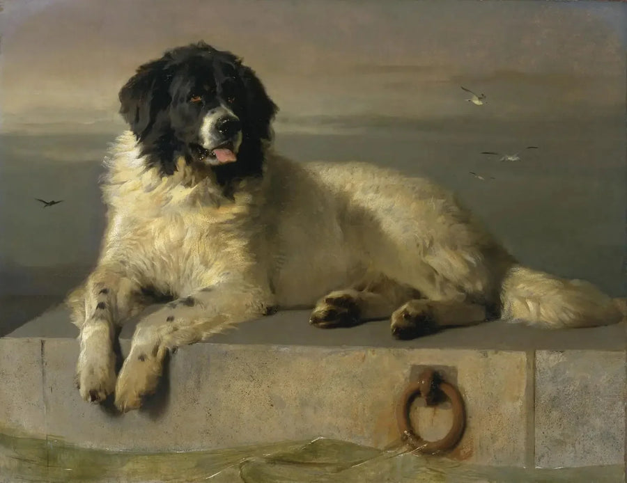 En utmerket medlem av Humane Society - Edwin Henry Landseer

Source:
Un membre distingué de la Humane Society - Edwin Henry Landseer