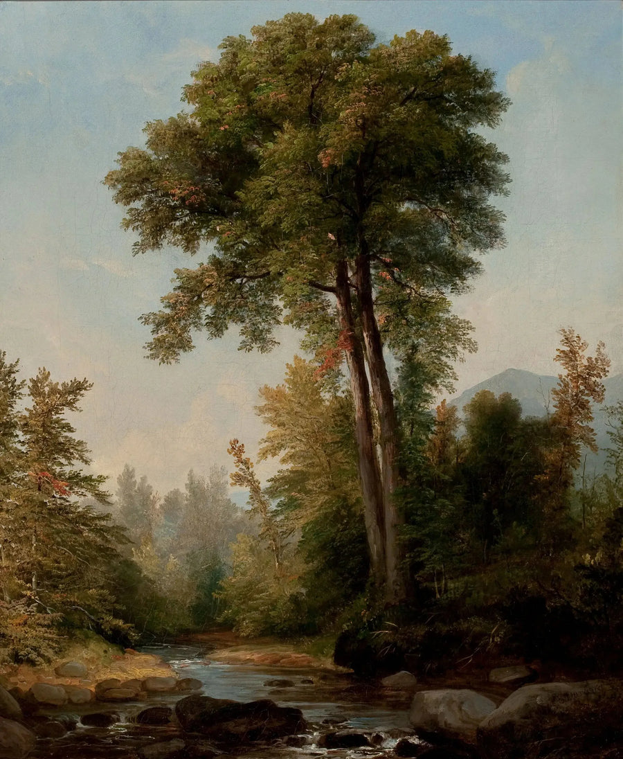 En naturlig monark - Asher Brown Durand

Source:
Un monarque naturel - Asher Brown Durand