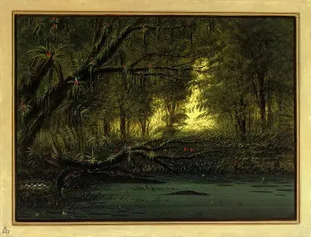 En alligatorhule - George Catlin

Source:
Un nid d'alligator - George Catlin