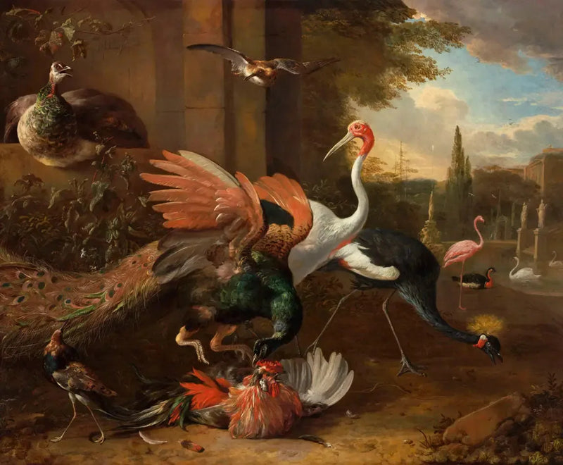 En påfugl som angriper en hane - Melchior de Hondecoeter