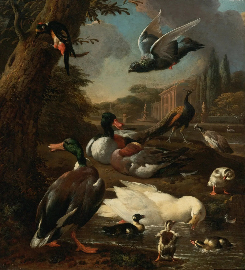 En påfugl, en due, ender og andre fugler i en hage - Melchior de Hondecoeter