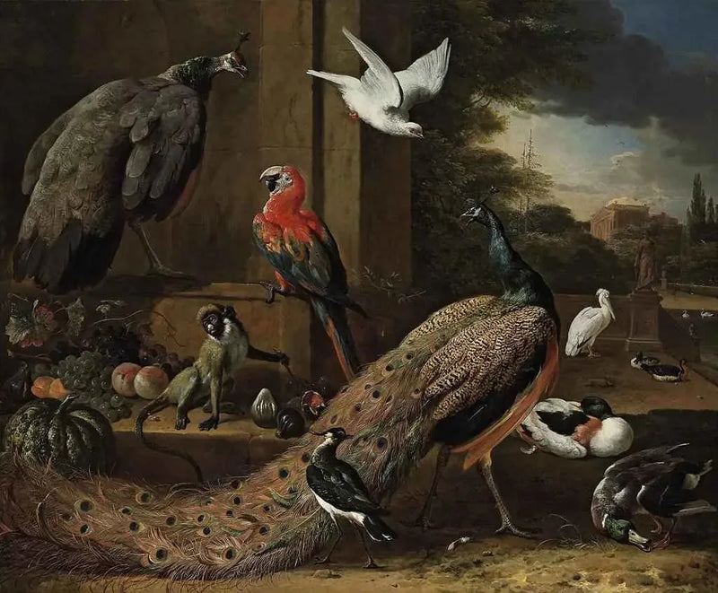 En påfugl, en hunnfugl, en ape og andre fugler på en terrasse - Melchior de Hondecoeter