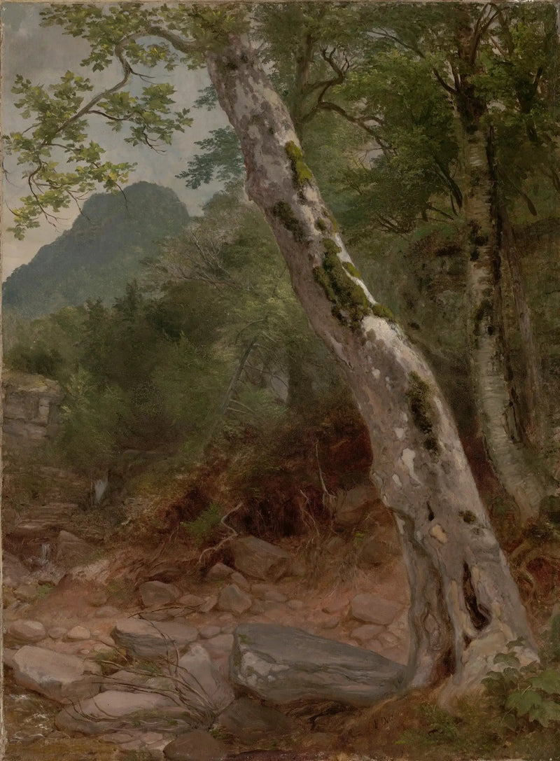 En sykomore, Plaaterkill Clove - Asher Brown Durand

Source:
Un sycomore, Plaaterkill Clove - Asher Brown Durand