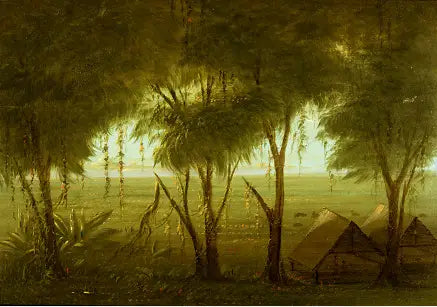 En landsby i Connibo - George Catlin

Source:
Un village de Connibo - George Catlin