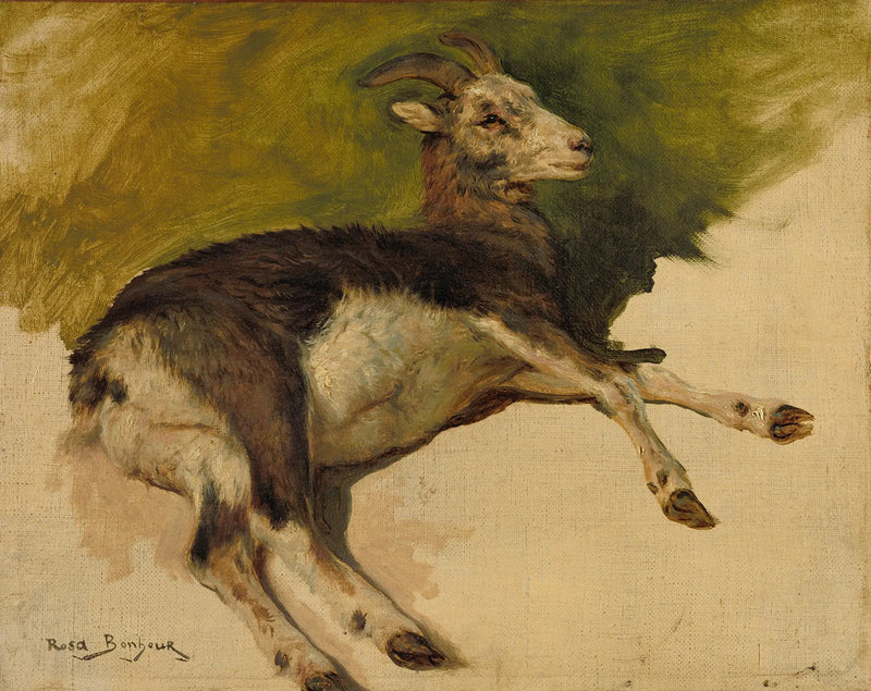 En geit - Rosa Bonheur