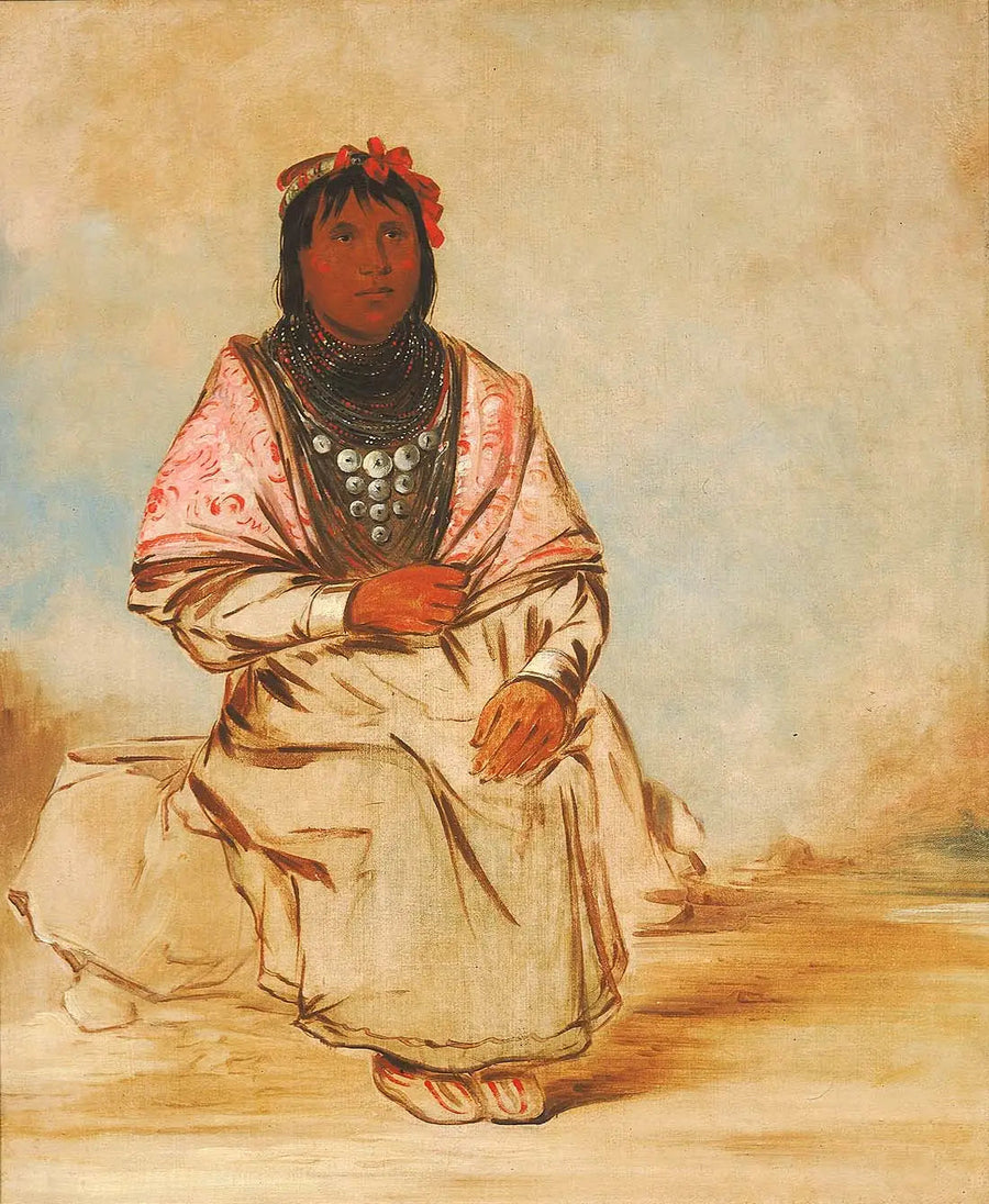 En seminolfemme - George Catlin

Source:
Une femme séminole - George Catlin